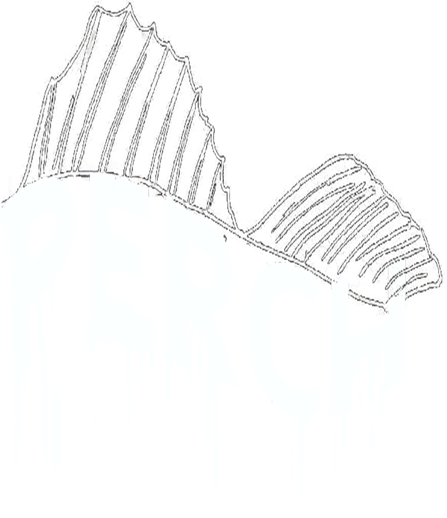 PERCH