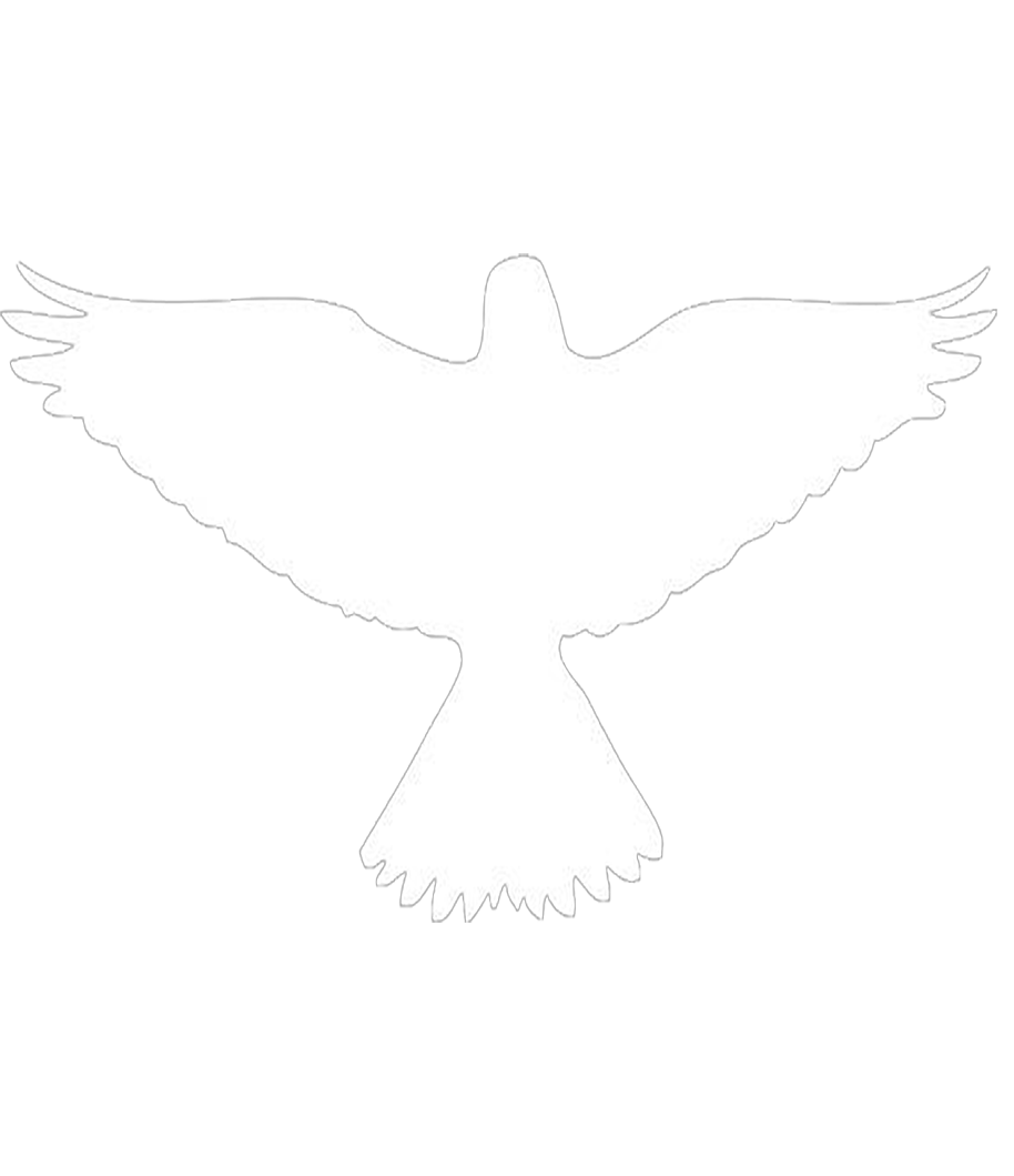 LARKS