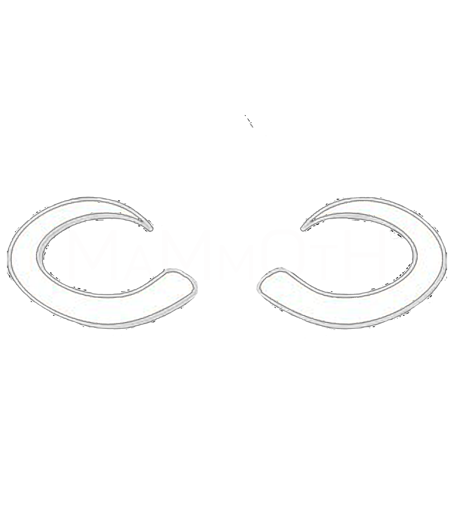 MAMMOTH